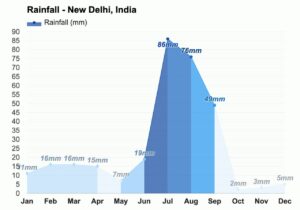 Delhi rainfall